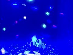 -常州海昌海洋探索馆