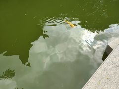 -乾隆行宫