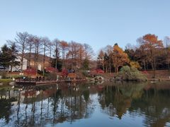 -四明山国家森林公园