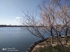 -大兴滨河森林公园