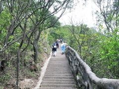 -梧桐山风景名胜区