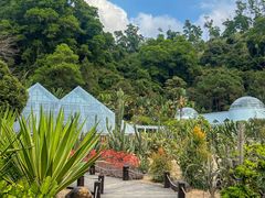 -深圳仙湖植物园
