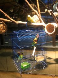 -酷嗒动物文化乐园(cutezoo西溪乐天城店)