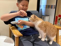 -滚猫咖啡·猫咖·猫友好撸猫(未来城店)