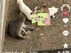 -昆明动物园