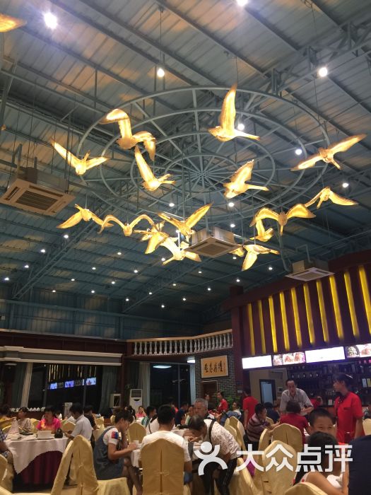 鹅城-大堂图片-广州美食-大众点评网