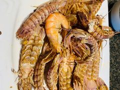 -渔民船说·北塘海鲜·天津菜·海肠捞饭(北塘古镇店)