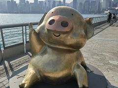 -星光大道
