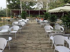 -白鹭湾湿地公园