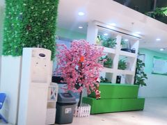 -学知乐教育·幼小衔接·小学科辅导(嘉定镇校区)