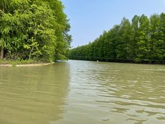 -上海海湾国家森林公园