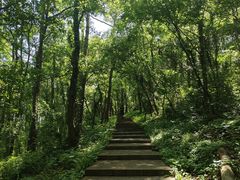 -南京金牛湖风景区