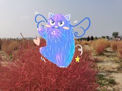 -映月湖中央公园