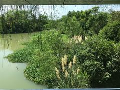 -中国湿地博物馆