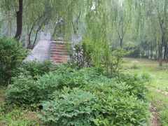 -济南植物园