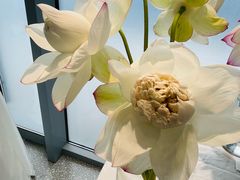 -上海植物园-4号门售票处