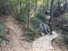-九曜山