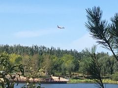 -东郊湿地公园