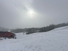 -二世古滑雪场