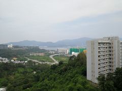 -大埔公路-马料水段香港中文大学(公交站)