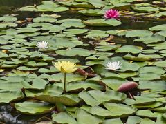 -白鹭湾湿地公园