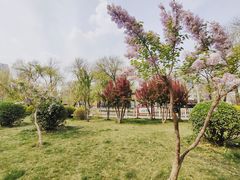 -和平区健康主题公园