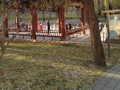 -元大都城垣遗址公园