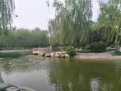 -丰台科技园生态主题公园