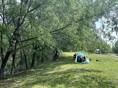 -长白岛森林公园