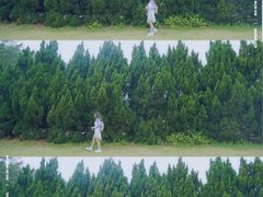-南沙蒲洲花园