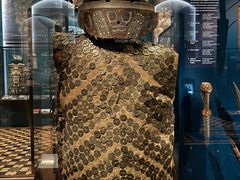 -美国自然历史博物馆