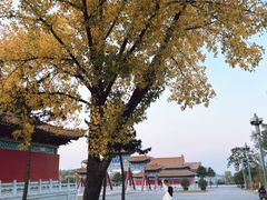-终南山古楼观历史文化景区