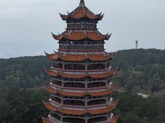 -铁山坪森林公园