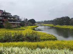 -乐山大佛风景名胜区乌尤寺南门-售票点