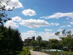 -莫子山公园