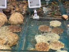 -盒马鲜生(皇庭广场店)