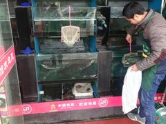 -全乐鱼馆·淳牌有机鱼直营店