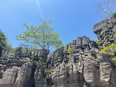 -梭布垭石林景区