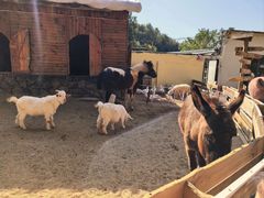 -HERRE·FARM 赫尔露营农场·团建聚会包场