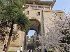 -武汉大学-樱园