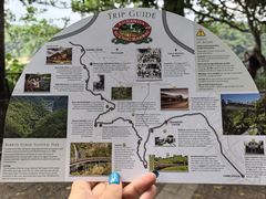 -热带雨林自然公园