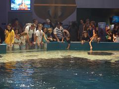 -瑞普利水族馆