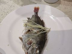 -青蓬蒸汽海鲜·深圳老字号·团建聚会(壹方城店)