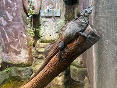 -上海大自然野生昆虫馆