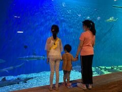 -华夏文旅海洋公园