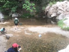 -碓臼峪自然风景区