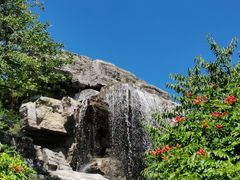 -北京西山国家森林公园