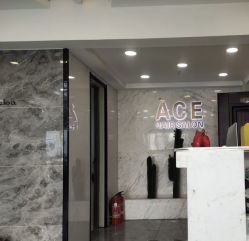 -ACE造型