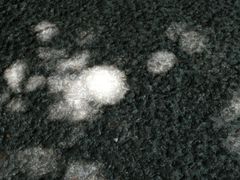 -萍乡武功山风景名胜区