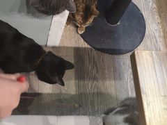 -小时光咖啡馆(开森度假森林店)